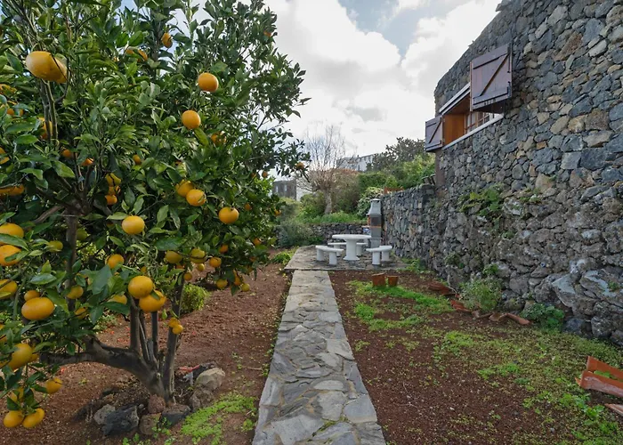 乡村民宿 El Almendro Tesbabo